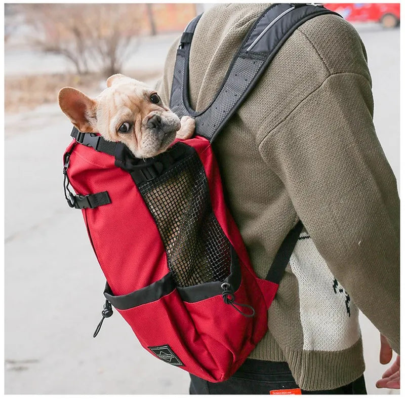 sac à dos chien moto