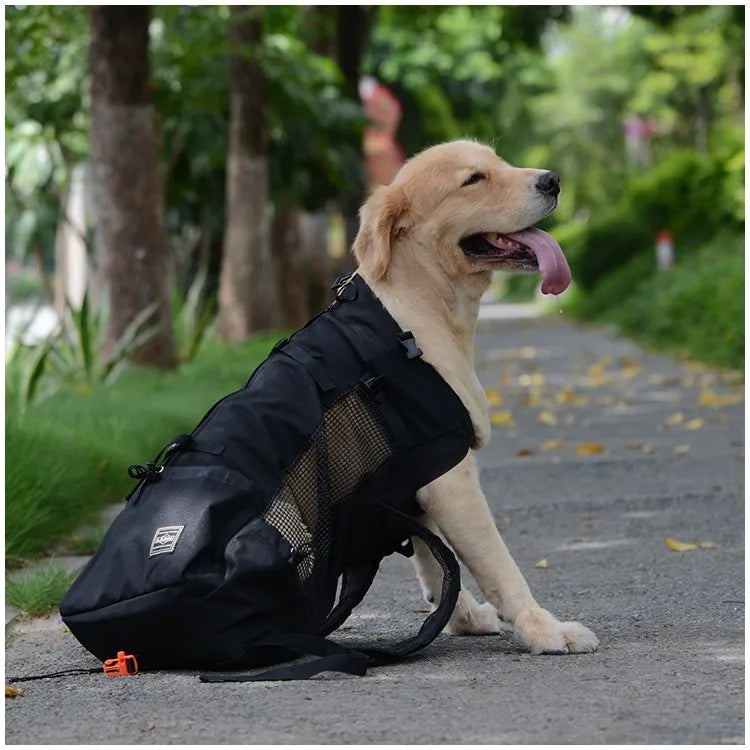 sac à dos chien moto