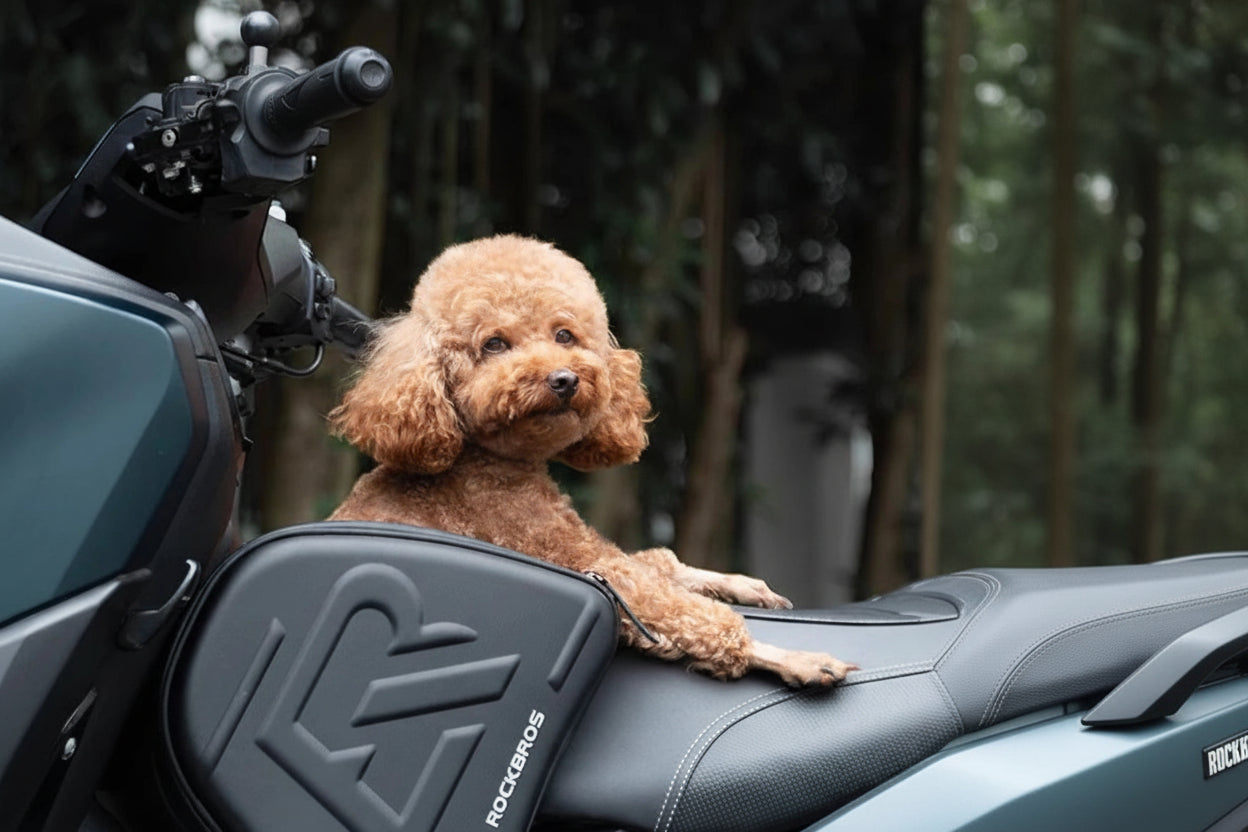 Sacoche chien moto (réservoir) - Helmetix SDP 562
